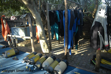 devoceandiving_ponta_08