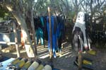 devoceandiving_ponta_07