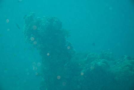 londolodgedive0032