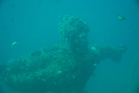 londolodgedive0033