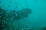 1londolodgedive0012