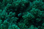 londolodgedive0006