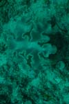 londolodgedive0009