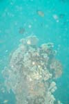 londolodgedive0030