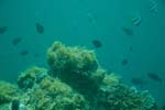 londolodgedive0038