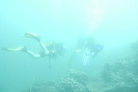 _DSC00012007-05-30_10.37.52