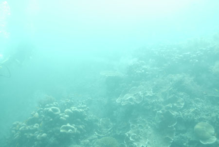_DSC00042007-05-30_10.39.26