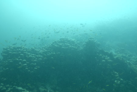_DSC00102007-05-30_10.43.26