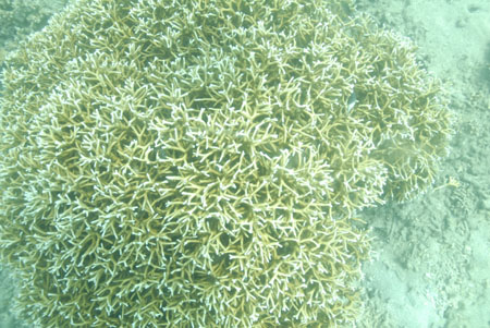 _DSC00872007-05-30_11.11.30