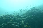 _1DSC00112007-05-30_10.43.42