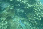 _DSC00032007-05-30_10.38.50