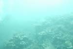 _DSC00042007-05-30_10.39.26