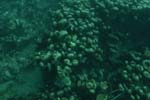 _DSC00072007-05-30_10.42.14