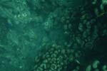 _DSC00092007-05-30_10.43.14