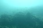 _DSC00102007-05-30_10.43.26