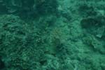 _DSC00122007-05-30_10.44.34