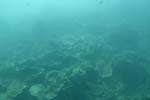 _DSC00282007-05-30_10.48.10
