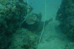_DSC00302007-05-30_10.49.24