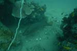 _DSC00322007-05-30_10.49.34