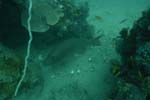 _DSC00332007-05-30_10.49.36