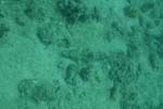 _DSC00372007-05-30_10.50.30