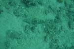 _DSC00392007-05-30_10.50.36