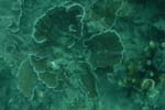 _DSC00412007-05-30_10.51.22