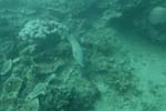 _DSC00422007-05-30_10.51.44