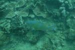 _DSC00432007-05-30_10.51.54