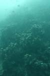 _DSC00452007-05-30_10.52.38