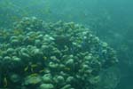 _DSC00482007-05-30_10.53.36