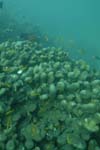_DSC00512007-05-30_10.53.56