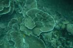 _DSC00522007-05-30_10.54.52