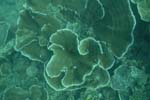 _DSC00532007-05-30_10.55.00