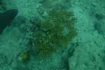 _DSC00562007-05-30_10.57.56
