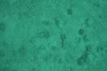 _DSC00612007-05-30_11.01.14