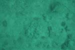 _DSC00622007-05-30_11.01.16