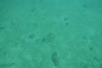 _DSC00632007-05-30_11.01.56