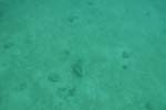 _DSC00652007-05-30_11.02.04