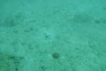 _DSC00672007-05-30_11.04.22
