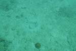 _DSC00682007-05-30_11.04.32
