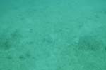 _DSC00692007-05-30_11.04.34