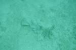 _DSC00712007-05-30_11.05.54