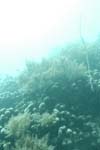 _DSC00772007-05-30_11.09.04