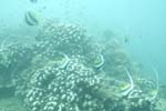 _DSC00782007-05-30_11.09.28