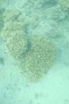 _DSC00842007-05-30_11.10.50