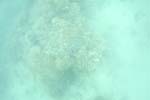 _DSC00972007-05-30_11.13.48