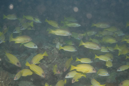 _DSC00122007-05-30_15.28.56