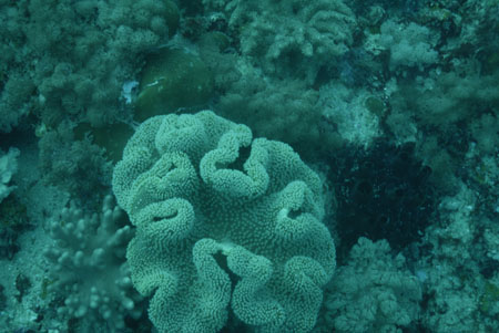 _DSC00652007-05-30_15.55.54