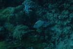 _DSC00022007-05-30_15.22.42